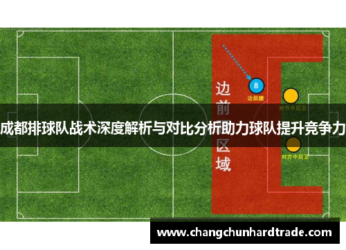 成都排球队战术深度解析与对比分析助力球队提升竞争力