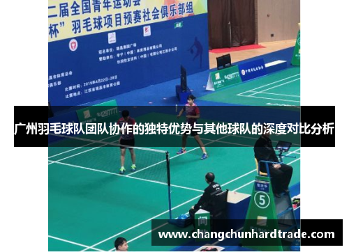 广州羽毛球队团队协作的独特优势与其他球队的深度对比分析