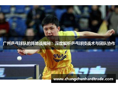 广州乒乓球队的阵地战揭秘：深度解析乒乓球技战术与团队协作