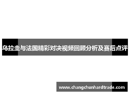 乌拉圭与法国精彩对决视频回顾分析及赛后点评